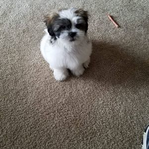 Meet your Posher, Cheryl